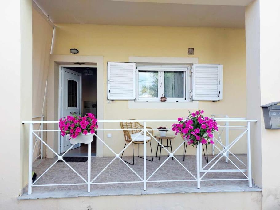 Apartment Meraki *